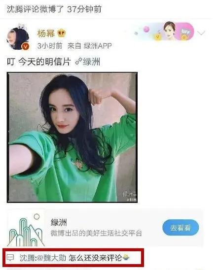 娱乐圈吃瓜小程序有哪些
